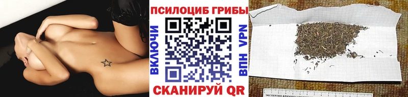 Купить закладки  Уварово  Псилоцибиновые грибы GOLDEN TEACHER 